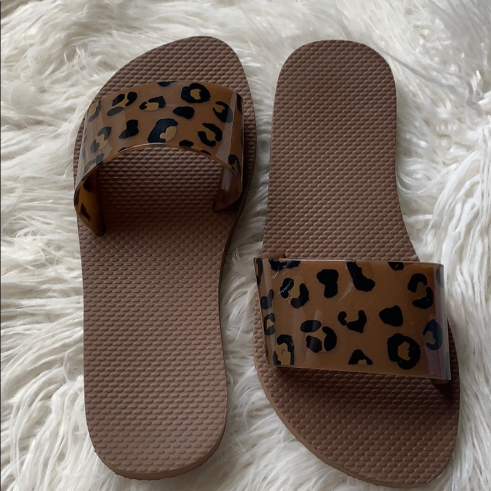 Leopard slides